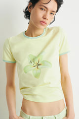 LIGHT YELLOW