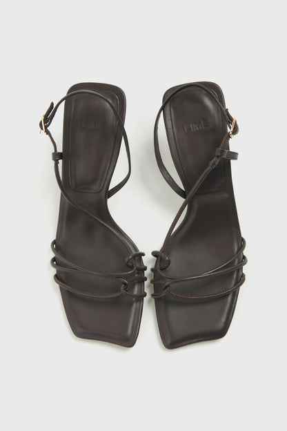DARK BROWN